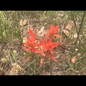 Meet your Posher, Lynda